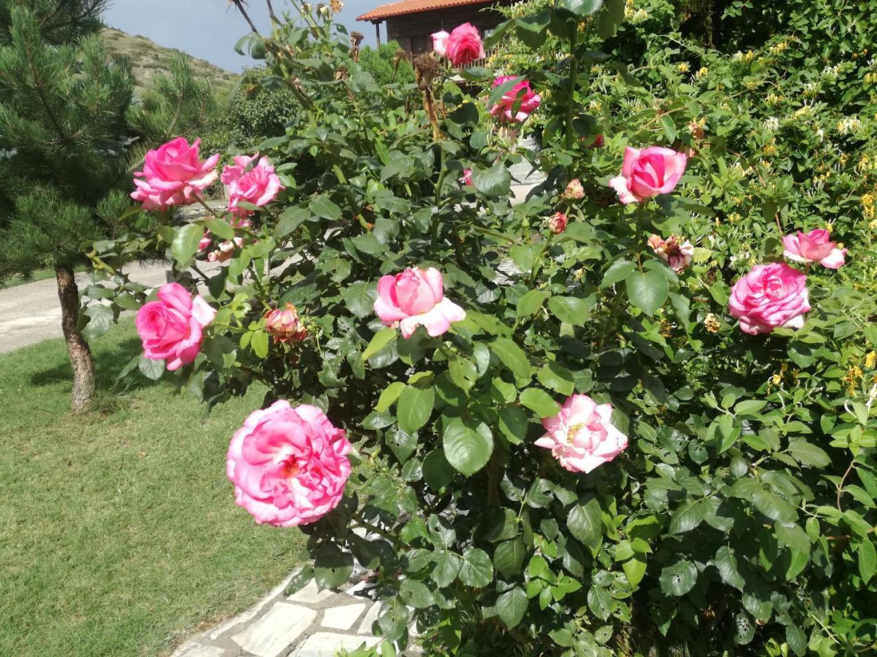 Prespa Resort & Spa Platy  Luaran gambar