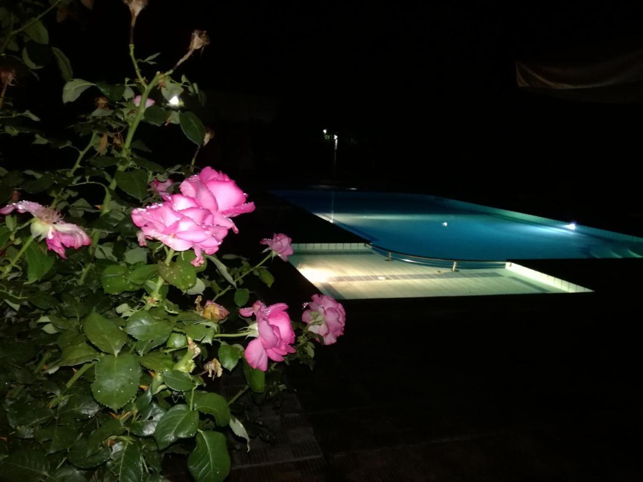 Prespa Resort & Spa Platy  Luaran gambar